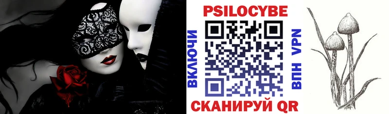 Купить где  Кудрово  Псилоцибиновые грибы мицелий 