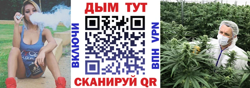 Купить где  Кудрово  Бошки марихуана THC 21% 